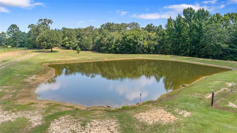 253 County Road 2412, Winnsboro TX 75471 - Photo 37