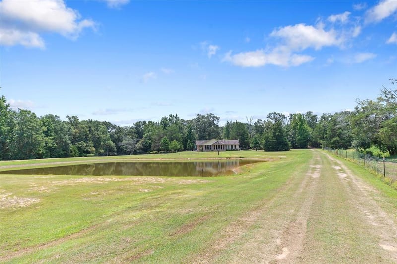 253 County Road 2412, Winnsboro TX 75471 - Photo 31