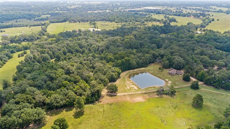 253 County Road 2412, Pickton TX 75471 - Photo 3