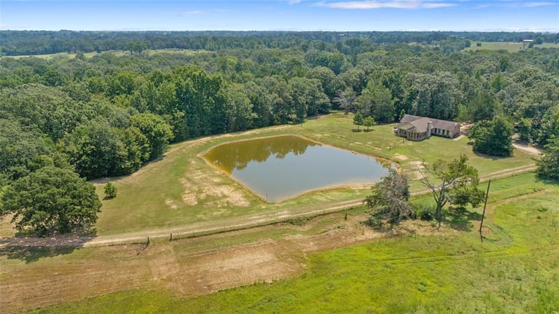 253 County Road 2412, Pickton TX 75471 - Photo 28