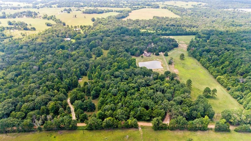 253 County Road 2412, Pickton TX 75471 - Photo 5