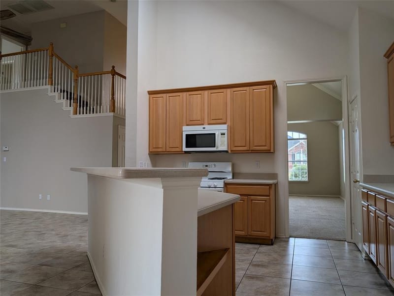 427 Rainforest Court, Murphy TX 75094 - Photo 14