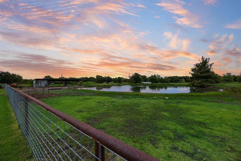 10052 Helms Trail, Forney TX 75126 - Photo 6