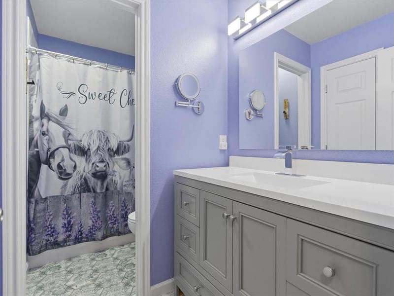 7405 Ravenhill Drive, Frisco TX 75035 - Photo 23