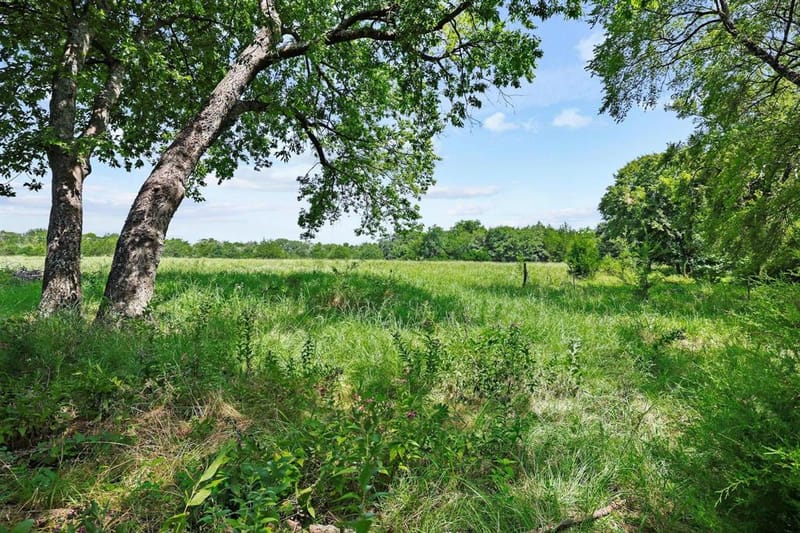 2496 Greer Road, Sadler TX 76264 - Photo 7