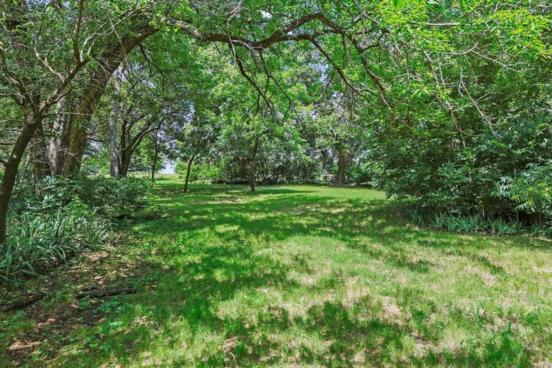 2496 Greer Road, Sadler TX 76264 - Photo 8
