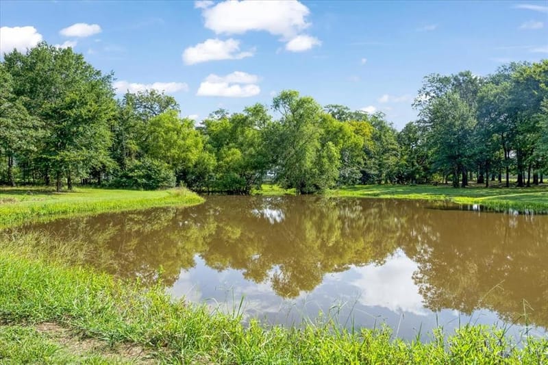 1022 County Road 2295, Telephone TX 75488 - Photo 23
