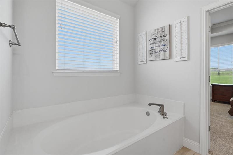 15005 Lost Wagon Street, Justin TX 76247 - Photo 17