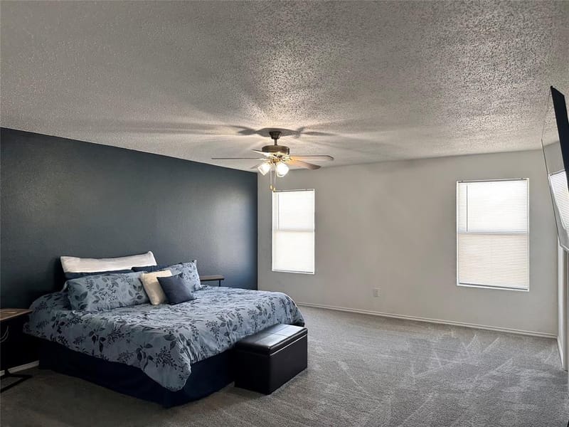 305 Daisy Lane, Wilmer TX 75172 - Photo 23