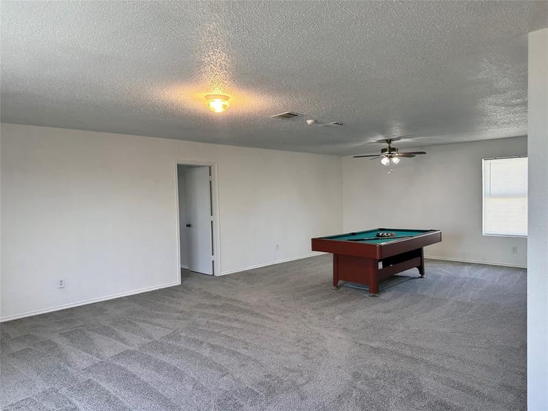 305 Daisy Lane, Wilmer TX 75172 - Photo 22