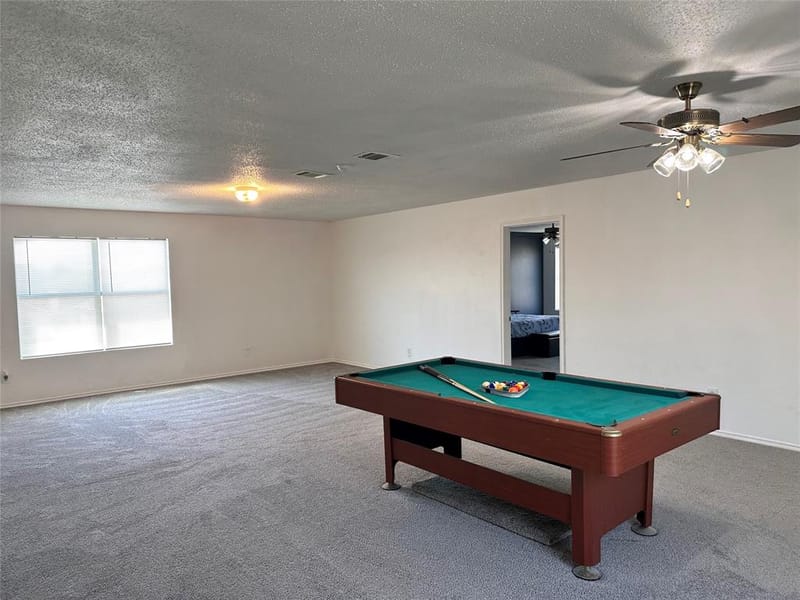 305 Daisy Lane, Wilmer TX 75172 - Photo 20