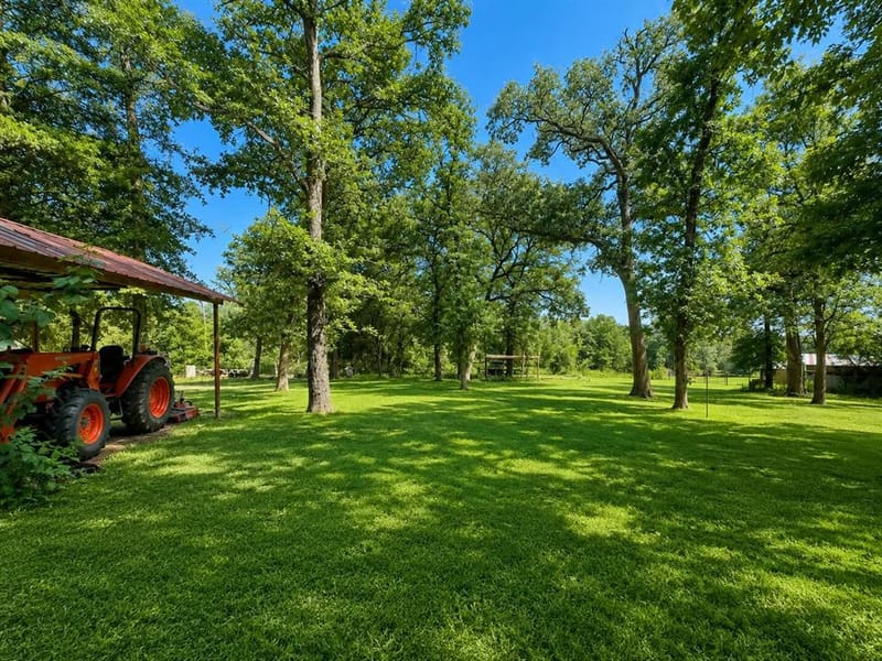 7761 Fm 2494, Athens TX 75751 - Photo 4