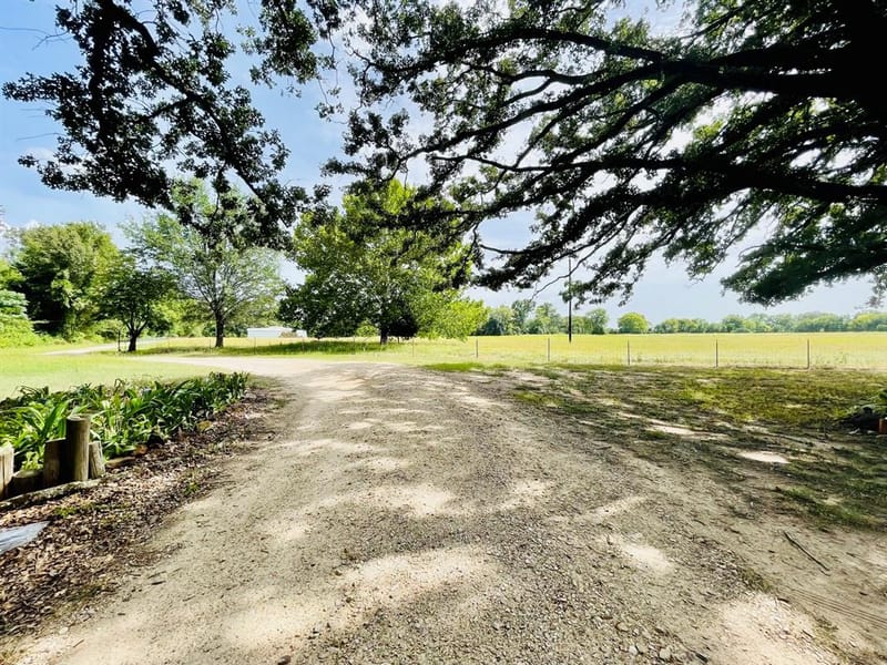 940 County Road 1858, Yantis TX 75497 - Photo 28