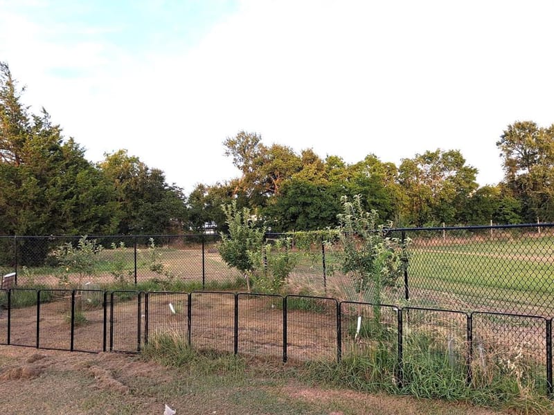 5450 County Road 237a, Terrell TX 75160 - Photo 8