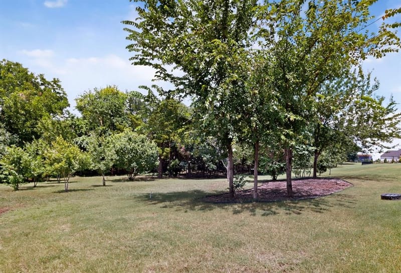 413 Charlie Joseph Drive, Van Alstyne TX 75495 - Photo 36