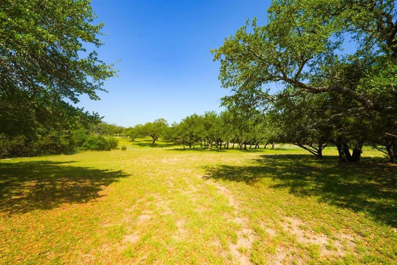 710 Whispering Oaks Lane, Early TX 76802 - Photo 4