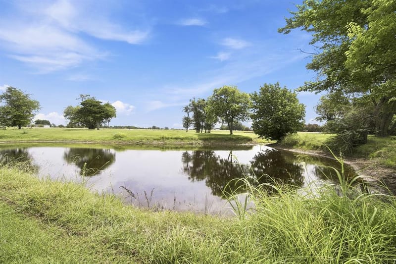1255 Fm 667, Purdon TX 76679 - Photo 5