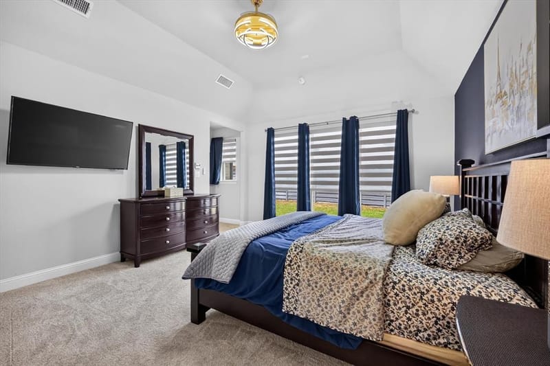 713 Sandbox Drive, Little Elm TX 76227 - Photo 29