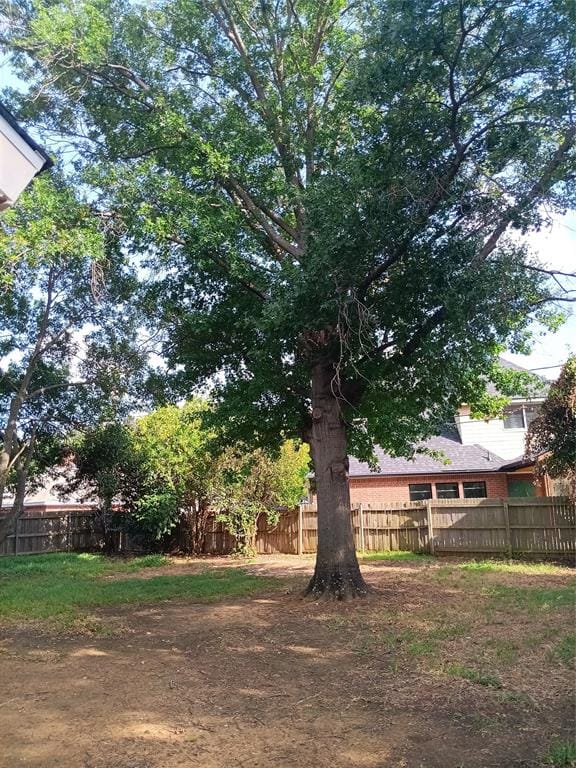 3618 Wentworth Drive, Arlington TX 76001 - Photo 15