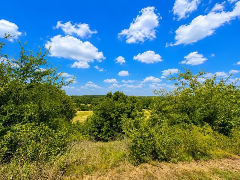148 County Road 2627, Decatur TX 76234 - Photo 7