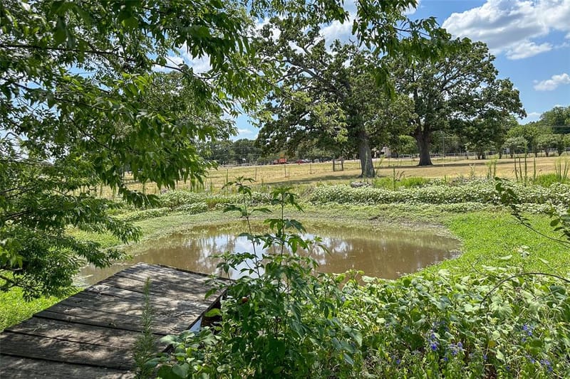 19399 State Highway 274, Kemp TX 75143 - Photo 39