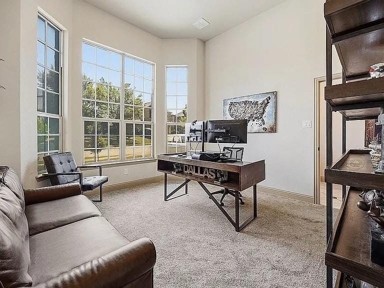 8608 Snowdrop Court, Fort Worth TX 76123 - Photo 10