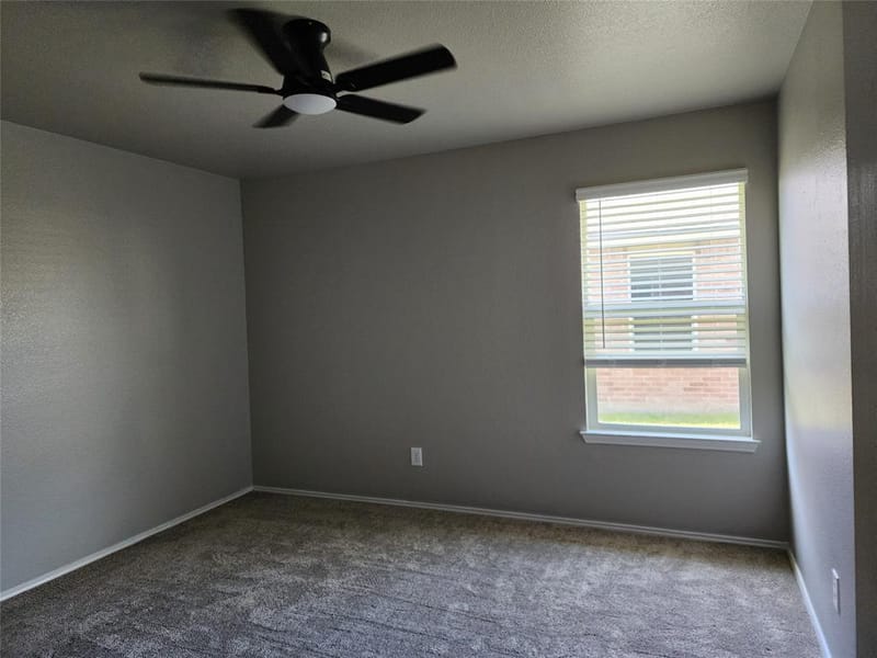 700 Swan Drive, Aubrey TX 76227 - Photo 19