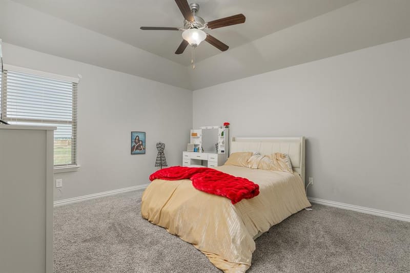 16721 Millenium Park Place, Prosper TX 75078 - Photo 27