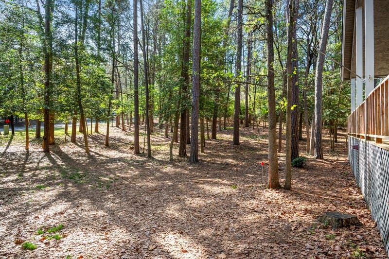 159 Cherrywood Lane, Holly Lake Ranch TX 75765 - Photo 28