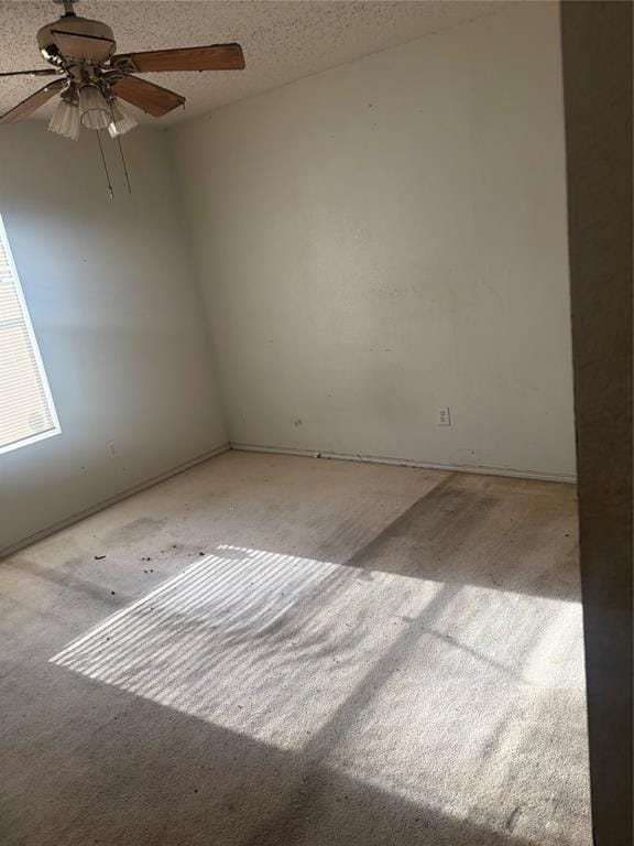 1229 Longleaf Drive, Cedar Hill TX 75104 - Photo 10