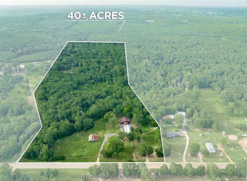 6841 State Highway 154 E, Gilmer TX 75645 - Photo 36