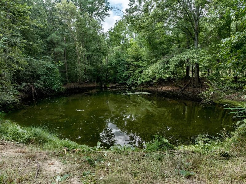 6841 State Highway 154 E, Gilmer TX 75645 - Photo 38