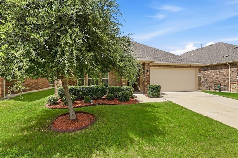 16204 Sparkhill Street, Frisco TX 75036 - Photo 4