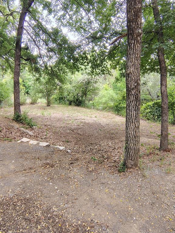 1545 Old Authon Road, Weatherford TX 76088 - Photo 13