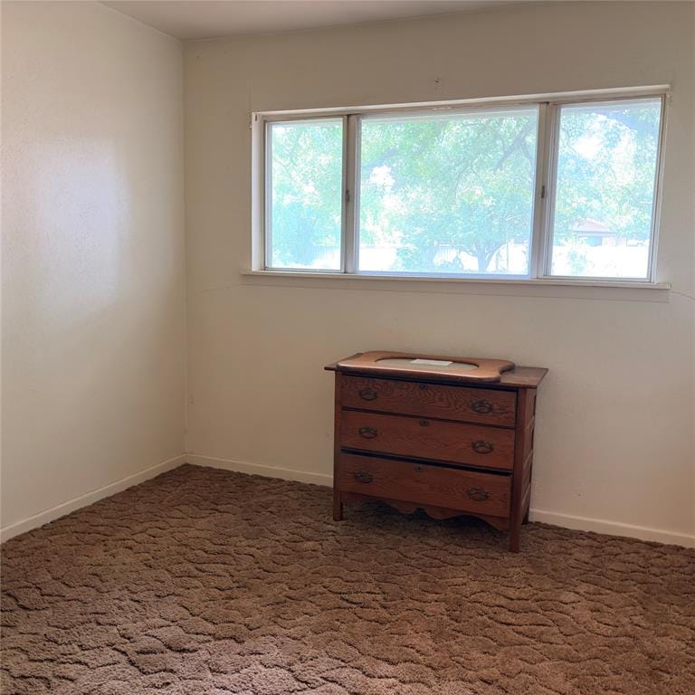 3103 N Oak Avenue, Mineral Wells TX 76067 - Photo 19