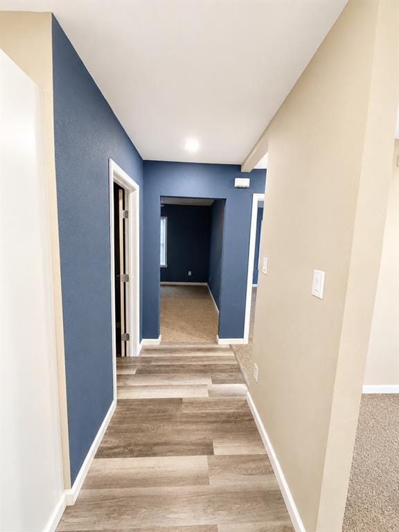 1101 E Sunset Street, Waco TX 76704 - Photo 8