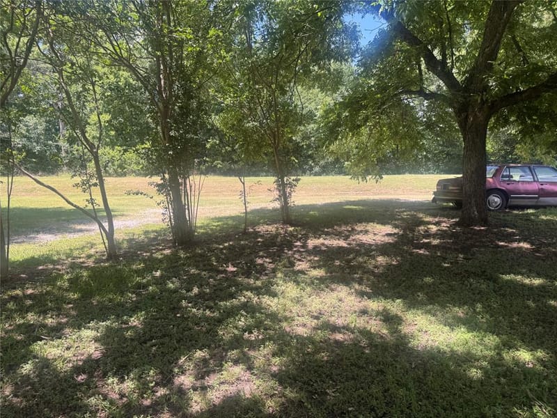 4205 Hickory Tree Road, Balch Springs TX 75180 - Photo 12