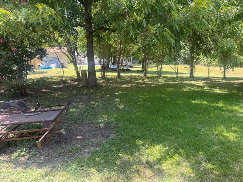 4205 Hickory Tree Road, Balch Springs TX 75180 - Photo 3