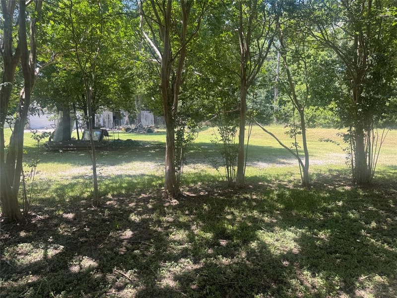 4205 Hickory Tree Road, Balch Springs TX 75180 - Photo 11