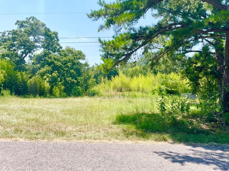 1129 N Hamlett Street, Athens TX 75751 - Photo 28
