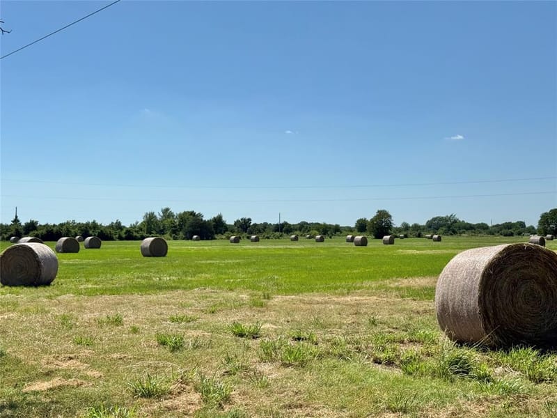 315 County Road 2240, Kerens TX 75144 - Photo 33
