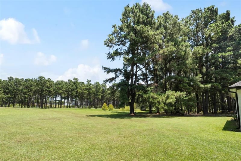 1109 Robbins Road, Athens TX 75751 - Photo 33