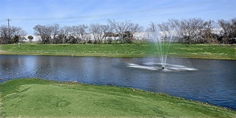 13160 Larks View Point, Fort Worth TX 76244 - Photo 28
