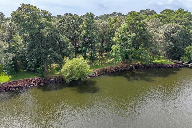 20862 Bay Shore Drive, Flint TX 75762 - Photo 12