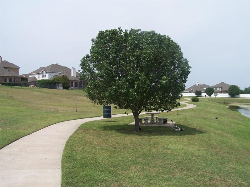 6925 Cattle Drive, Fort Worth TX 76179 - Photo 37