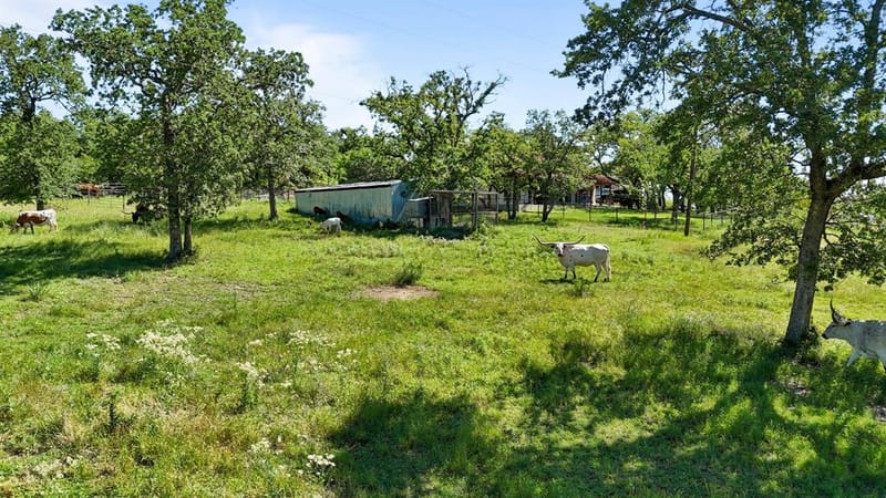 156 Private Road 3626, Springtown TX 76082 - Photo 25