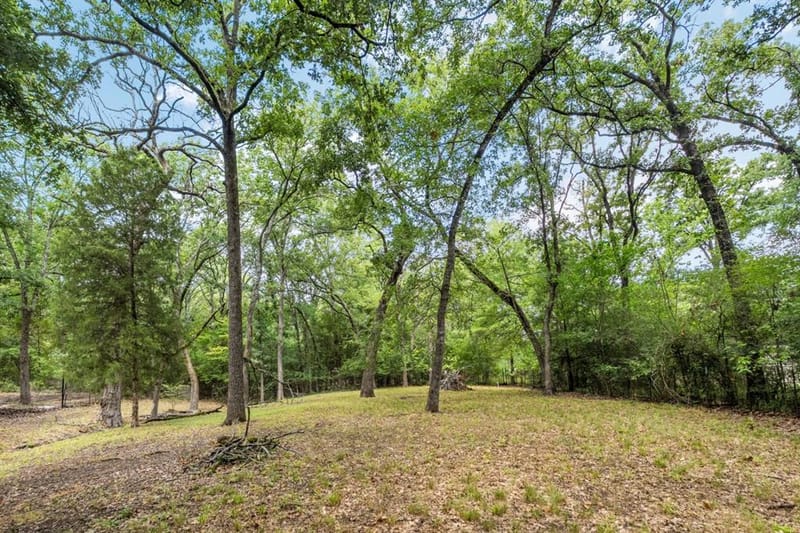 14224 Daniel Boone Lane, Log Cabin TX 75148 - Photo 28