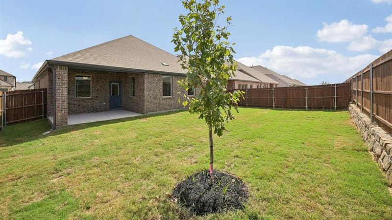 4833 Silver Touch Road, Aubrey TX 76227 - Photo 5