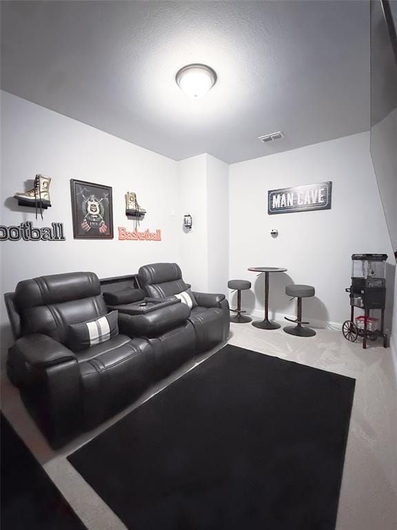 11376 Chiltern Street, Frisco TX 75035 - Photo 19