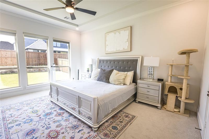 12135 Cotton Field Road, Frisco TX 75035 - Photo 14